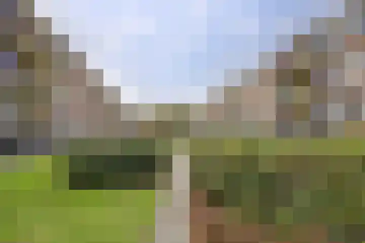 Steenwijklaan 192 Den Haag thumbnail 27