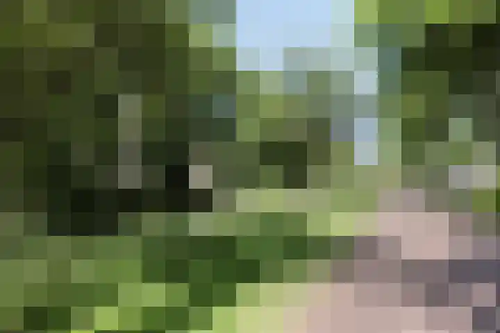 Steenwijklaan 298 Den Haag thumbnail 34
