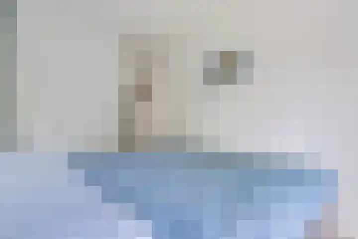 Steenwijklaan 302 Den Haag thumbnail 13
