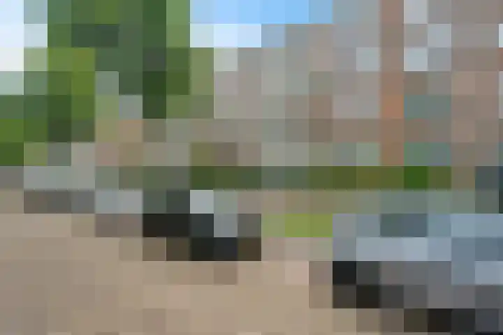 Steenwijklaan 302 Den Haag thumbnail 22