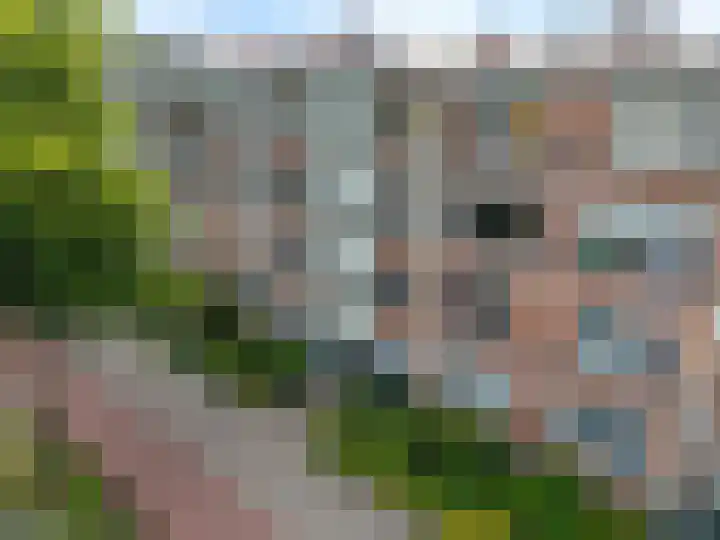 Steenwijklaan 302 Den Haag thumbnail 31