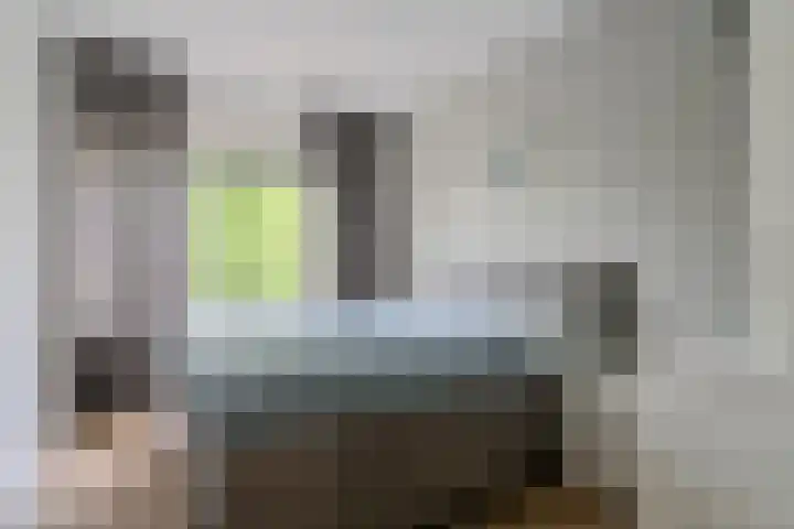 Steenwijklaan 302 Den Haag thumbnail 4