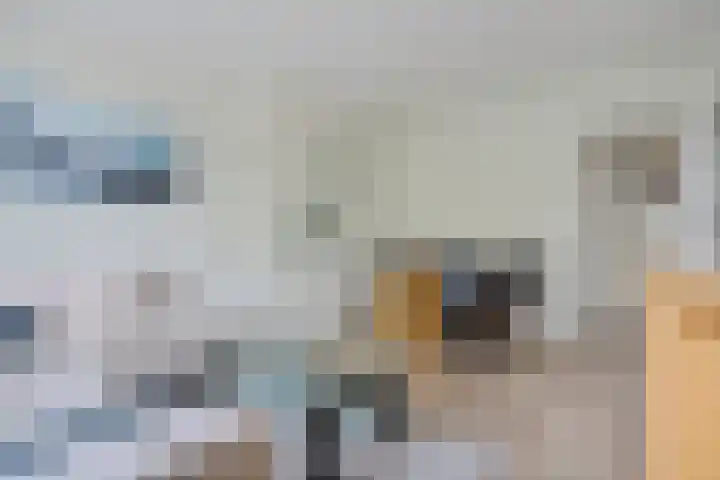 Steenwijklaan 302 Den Haag thumbnail 9