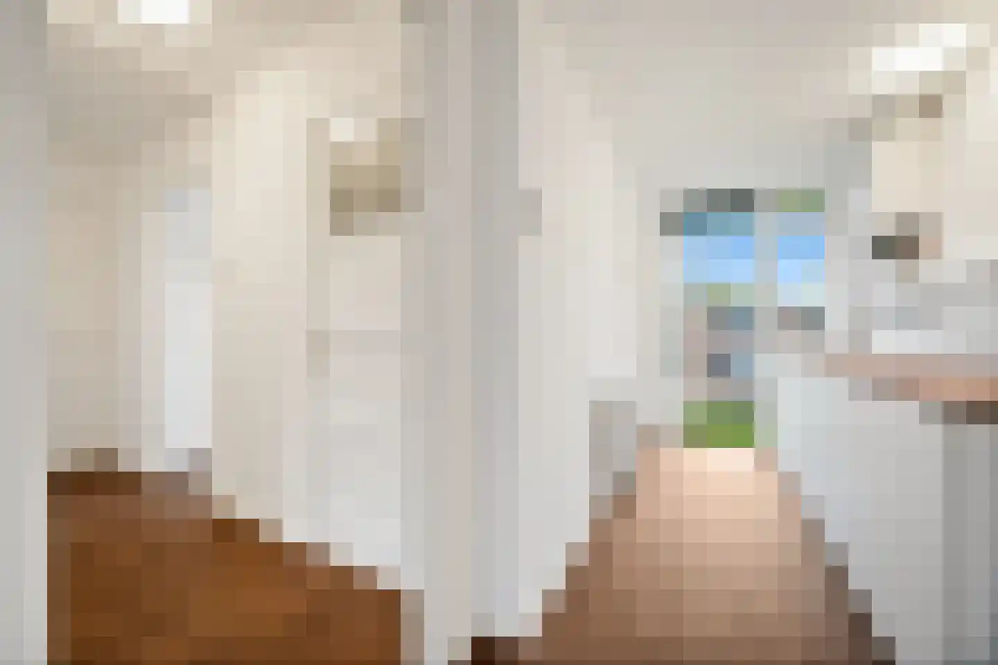 Steenwijklaan 348 Den Haag thumbnail 22