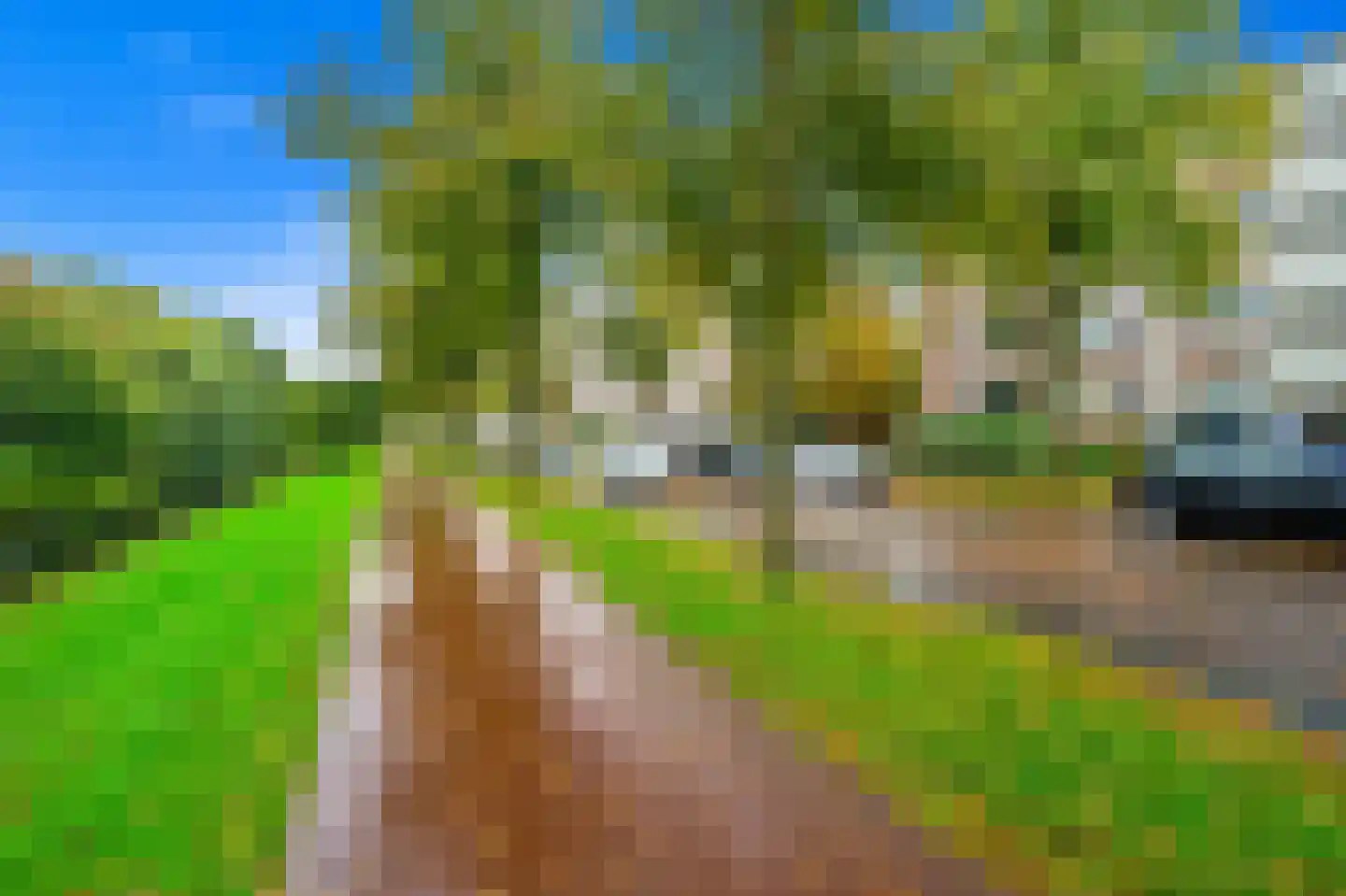 Steenwijklaan 348 Den Haag thumbnail 27