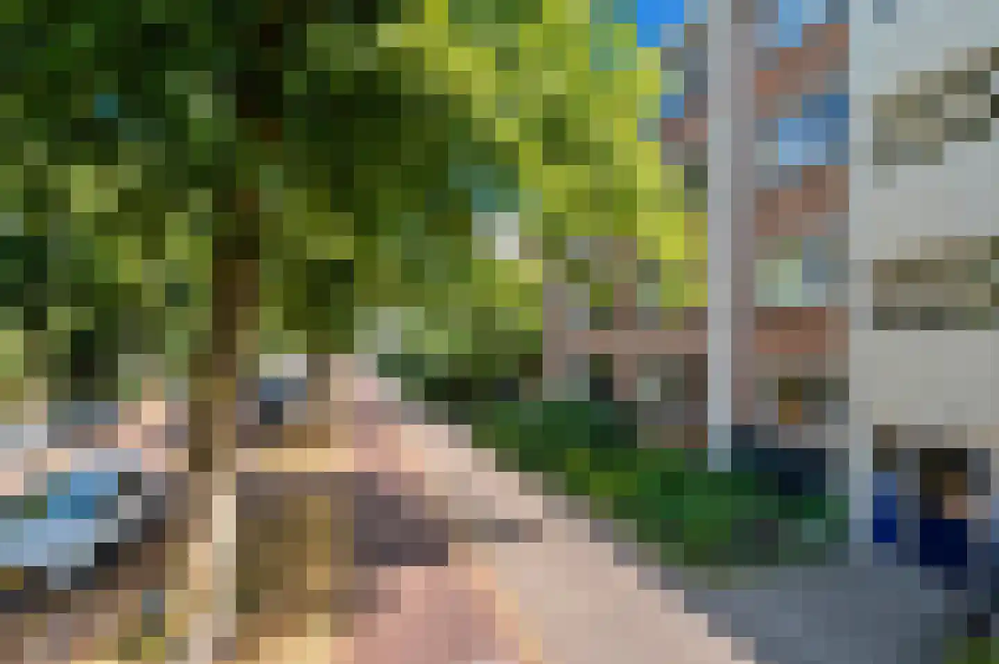 Steenwijklaan 354 Den Haag thumbnail 32