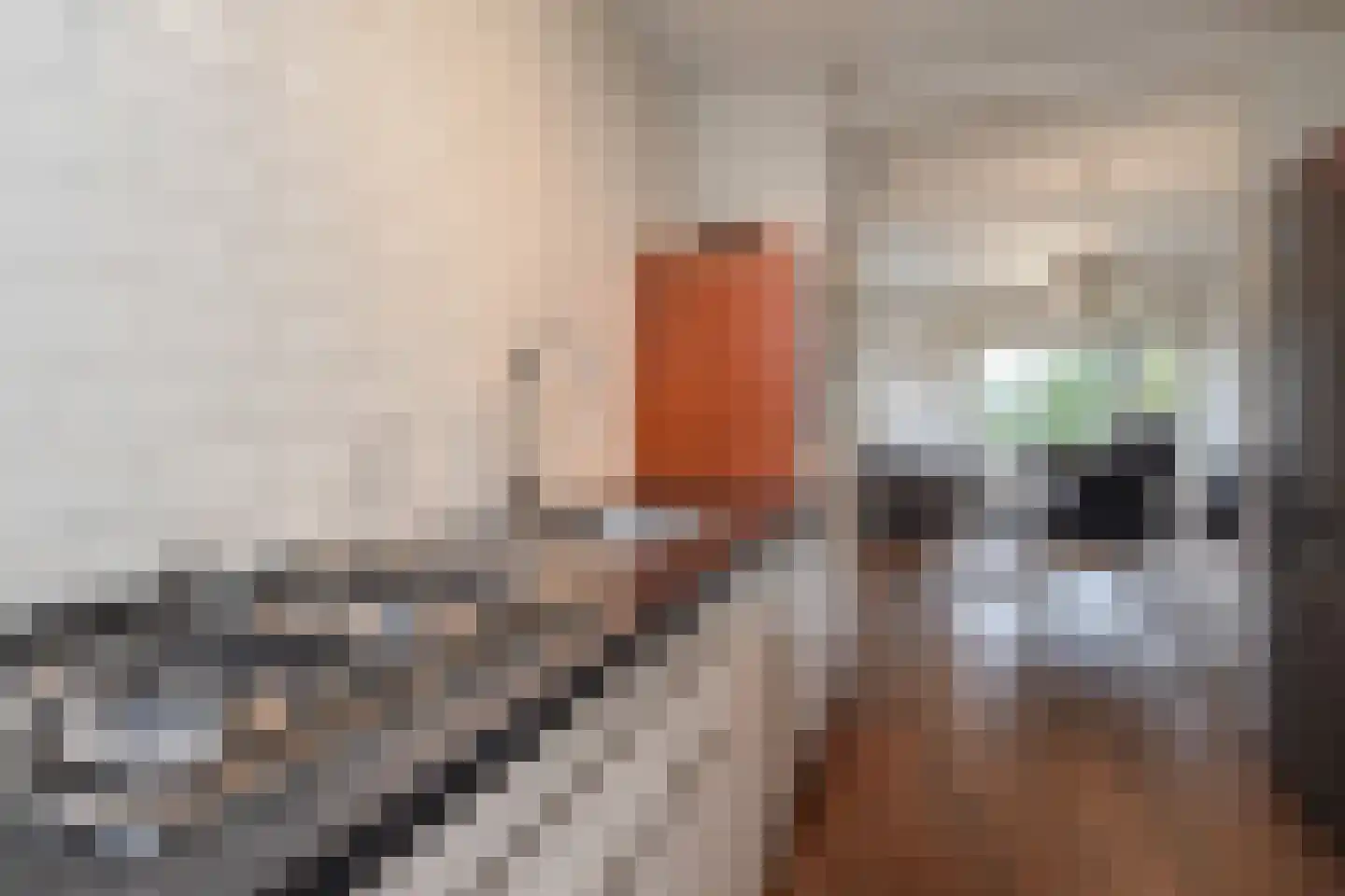 Steenwijklaan 406 Den Haag thumbnail 13