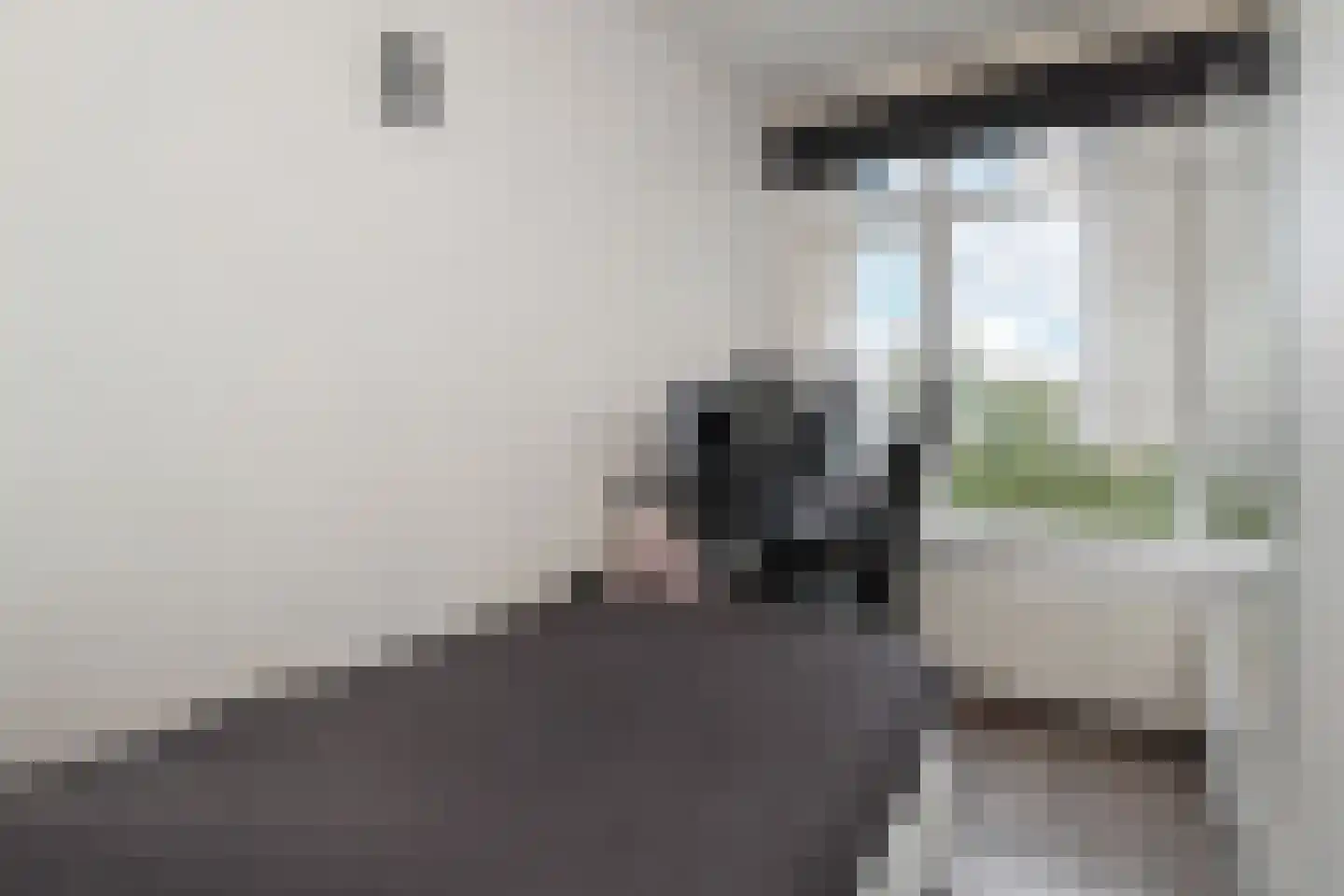 Steenwijklaan 406 Den Haag thumbnail 19