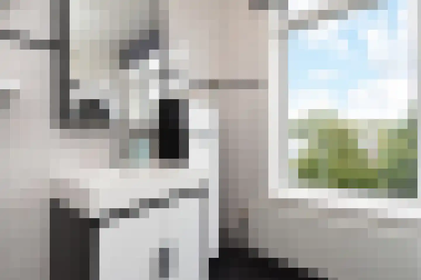 Steenwijklaan 406 Den Haag thumbnail 22