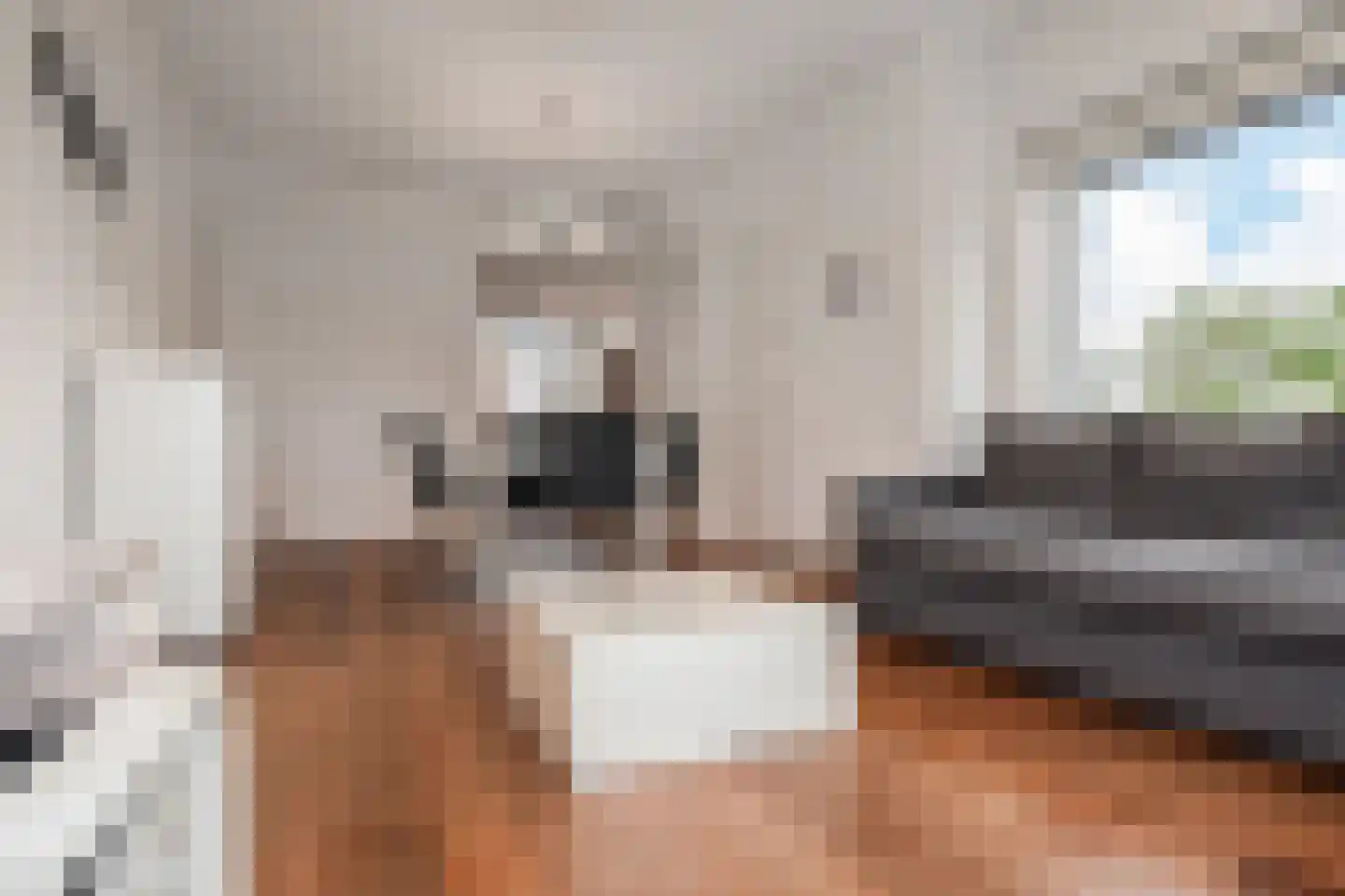 Steenwijklaan 406 Den Haag thumbnail 9