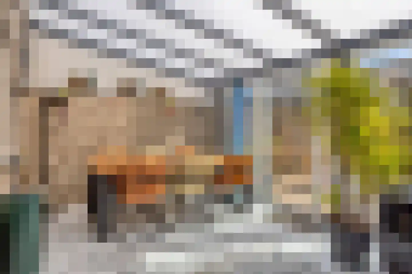 Steenwijksingel 6 Tilburg thumbnail 39