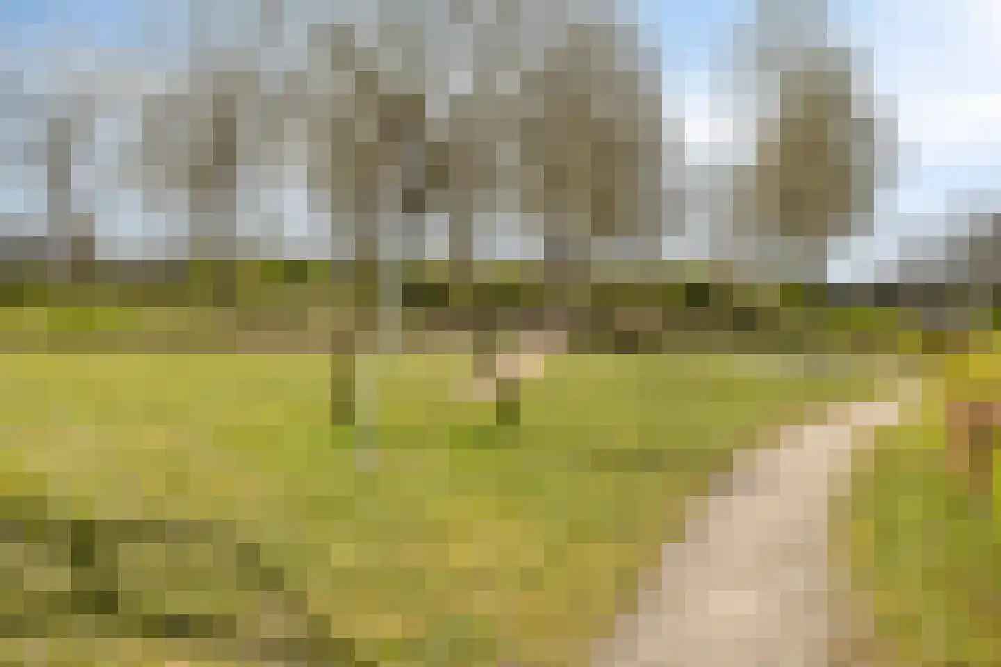 Steenwijksingel 6 Tilburg thumbnail 47