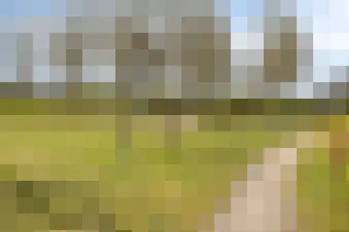 Steenwijksingel 6 Tilburg thumbnail 47