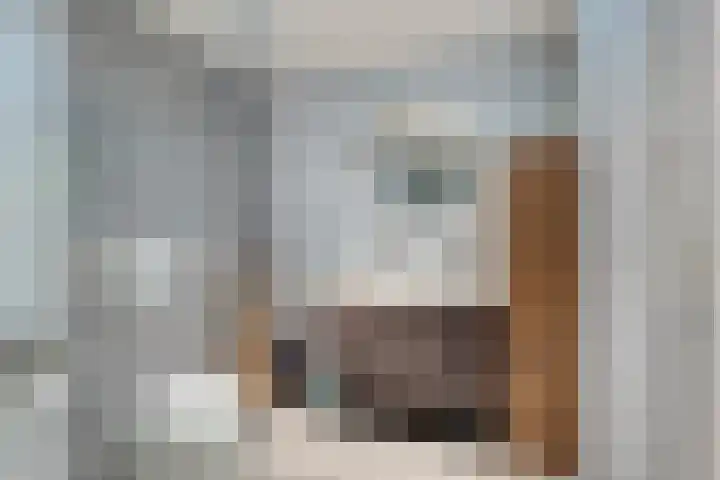Steenwijksingel 6 Tilburg thumbnail 5