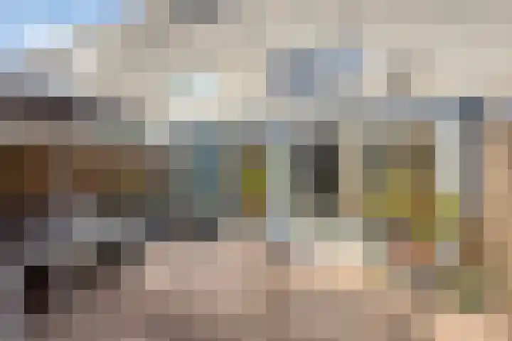 Steenwijksingel 6 Tilburg thumbnail 7