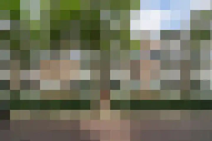 Steenzicht 99 in Den Haag