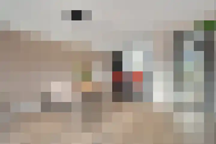 Steenzolder 27 Nunspeet thumbnail 14