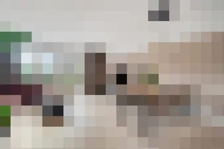 Steenzolder 27 Nunspeet thumbnail 15