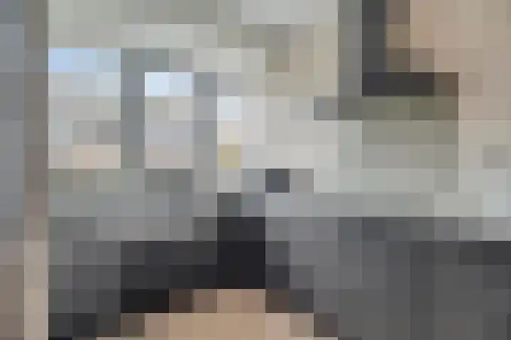 Steenzolder 27 Nunspeet thumbnail 19