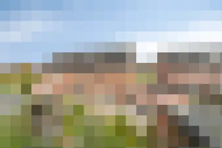 Steenzolder 27 Nunspeet thumbnail 35