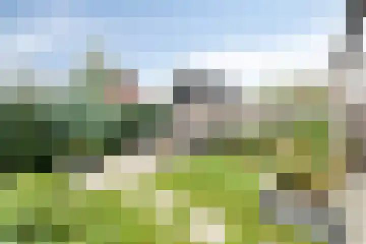 Steenzolder 27 Nunspeet thumbnail 37