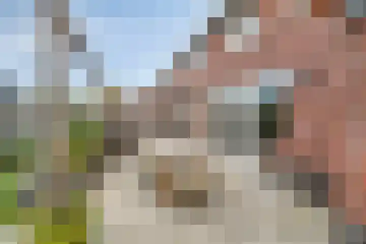 Steenzolder 27 Nunspeet thumbnail 41