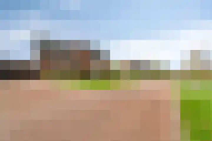 Steenzolder 27 Nunspeet thumbnail 43