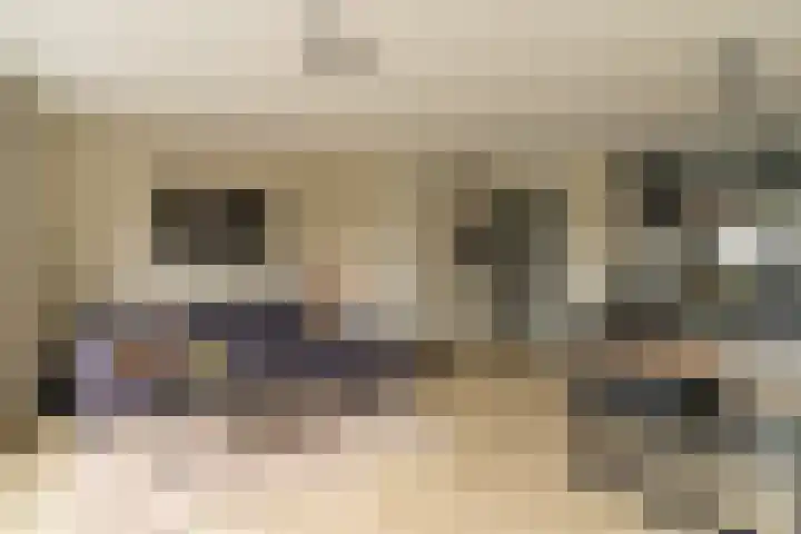 Steenzolder 7 Nunspeet thumbnail 11