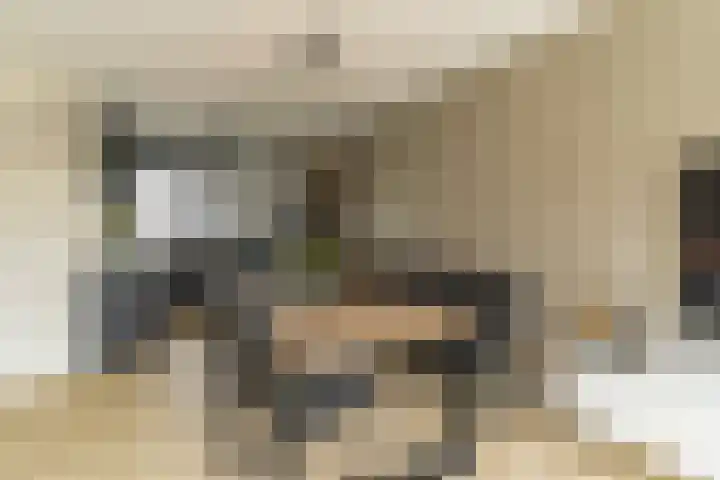 Steenzolder 7 Nunspeet thumbnail 14