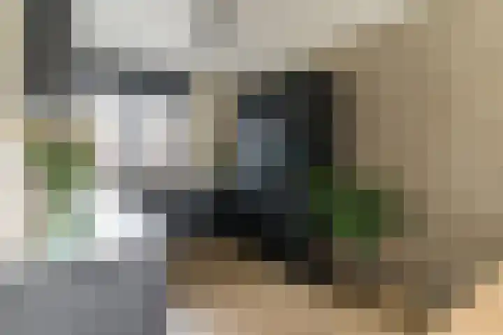 Steenzolder 7 Nunspeet thumbnail 15