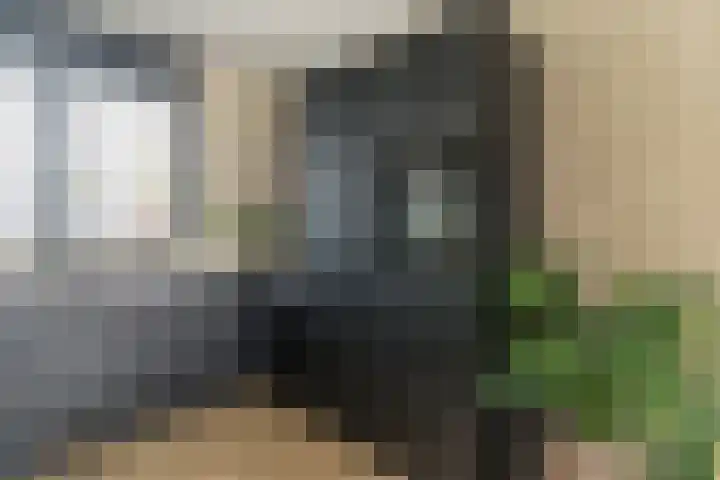 Steenzolder 7 Nunspeet thumbnail 16