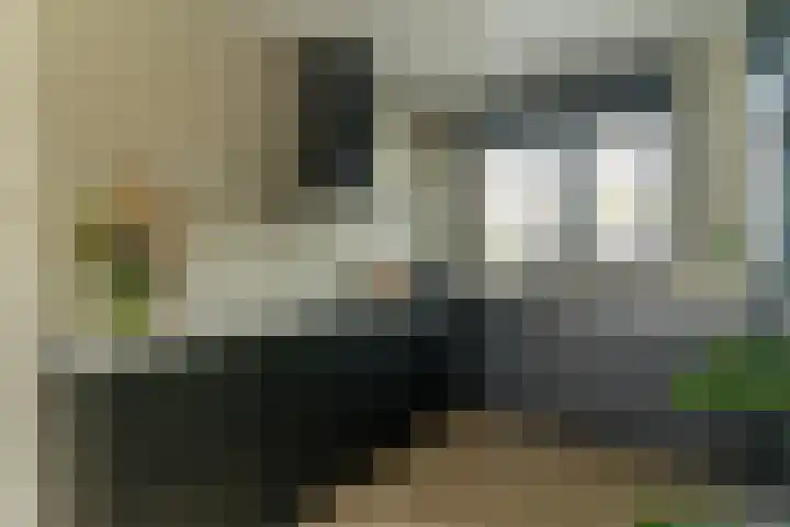 Steenzolder 7 Nunspeet thumbnail 17