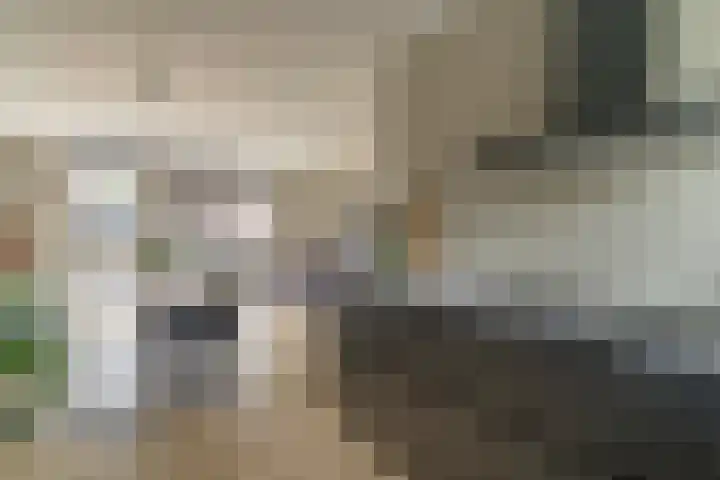 Steenzolder 7 Nunspeet thumbnail 18