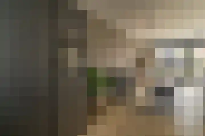 Steenzolder 7 Nunspeet thumbnail 19