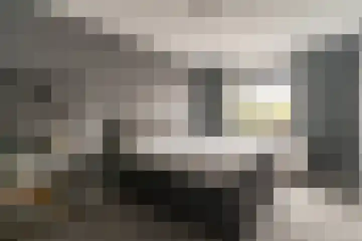 Steenzolder 7 Nunspeet thumbnail 20