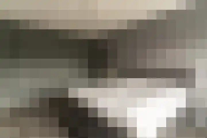 Steenzolder 7 Nunspeet thumbnail 22