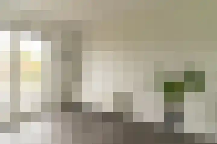 Steenzolder 7 Nunspeet thumbnail 24