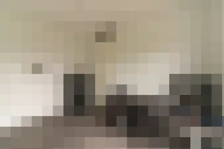 Steenzolder 7 Nunspeet thumbnail 26