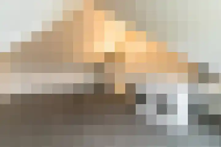 Steenzolder 7 Nunspeet thumbnail 31