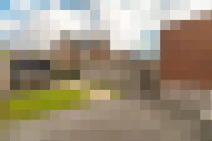 Steenzolder 7 Nunspeet thumbnail 32
