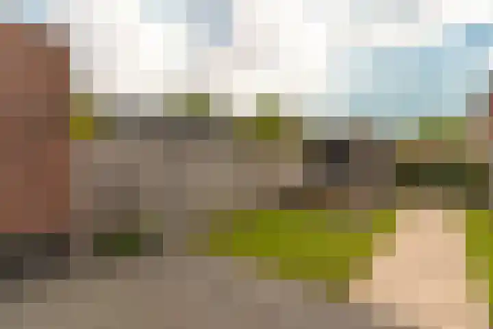 Steenzolder 7 Nunspeet thumbnail 33