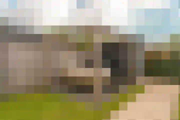 Steenzolder 7 Nunspeet thumbnail 34