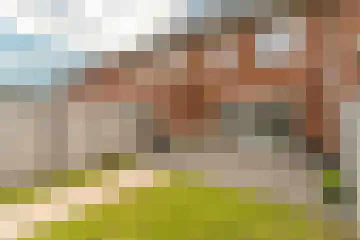 Steenzolder 7 Nunspeet thumbnail 38