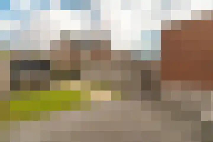 Steenzolder 7 Nunspeet thumbnail 4