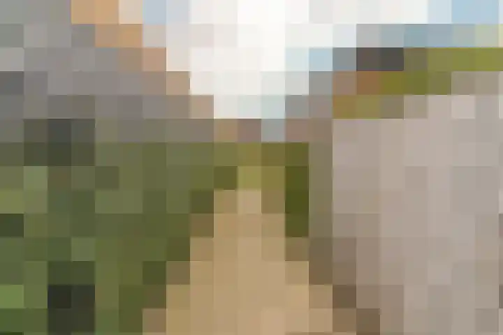 Steenzolder 7 Nunspeet thumbnail 40