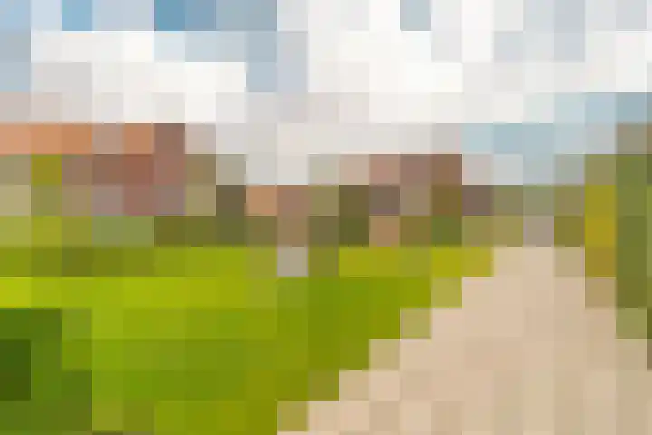 Steenzolder 7 Nunspeet thumbnail 41