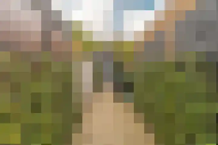 Steenzolder 7 Nunspeet thumbnail 42