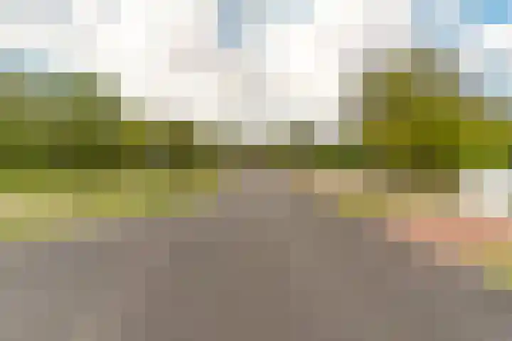 Steenzolder 7 Nunspeet thumbnail 43