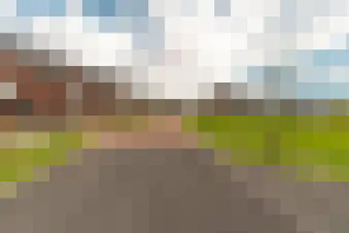 Steenzolder 7 Nunspeet thumbnail 44