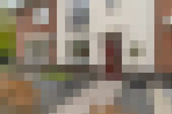Steenzolder 7 Nunspeet thumbnail 6